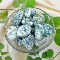 Tree Agate Tumbles (100 Grams)